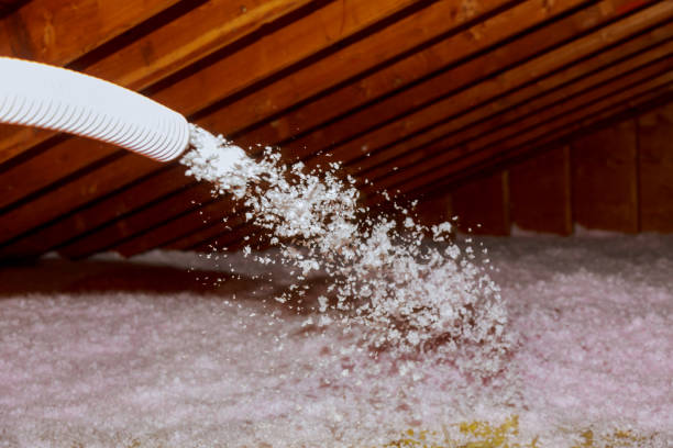 Best Wall Insulation Contractor  in Warrensburg, MO