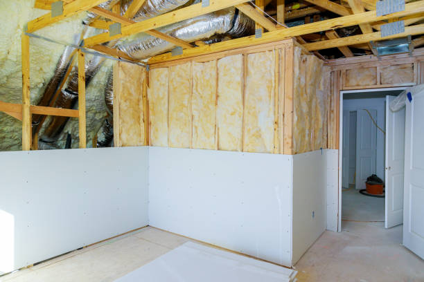 Best Insulation Removal  in Warrensburg, MO