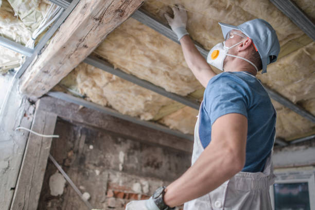 Best Insulation Replacement Services  in Warrensburg, MO