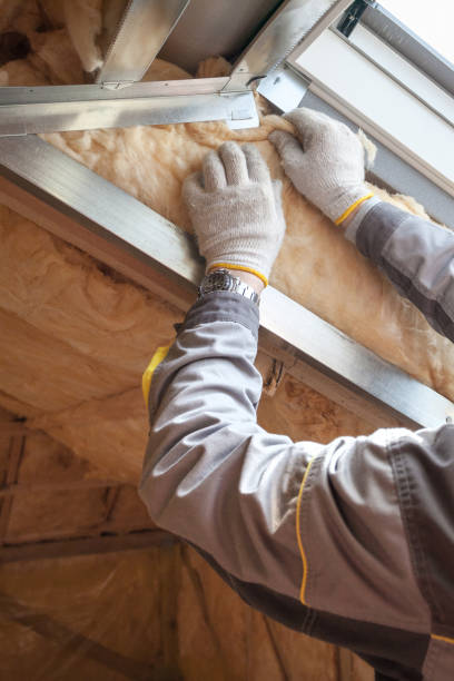 Best Soundproof Insulation Installation  in Warrensburg, MO