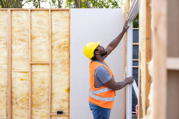 Best Residential Insulation Services  in Warrensburg, MO