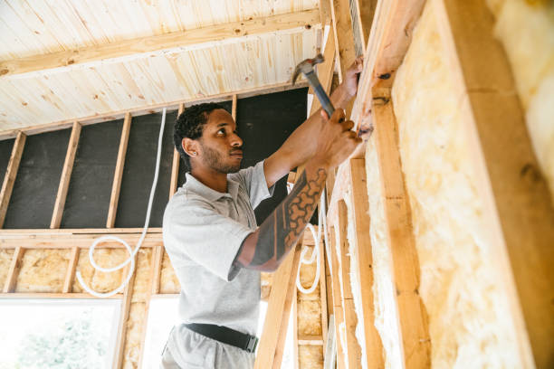 Best Spray Foam Insulation  in Warrensburg, MO