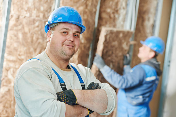 Best Insulation Replacement Services  in Warrensburg, MO