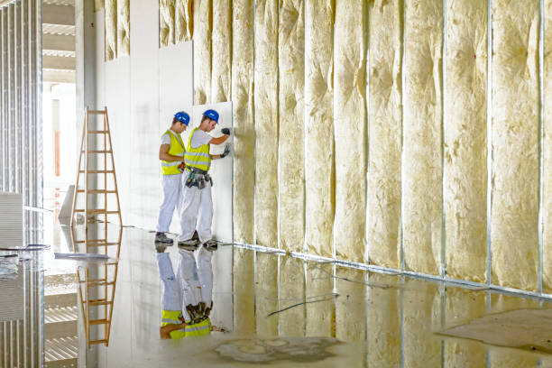 Best Commercial Insulation Contractor  in Warrensburg, MO